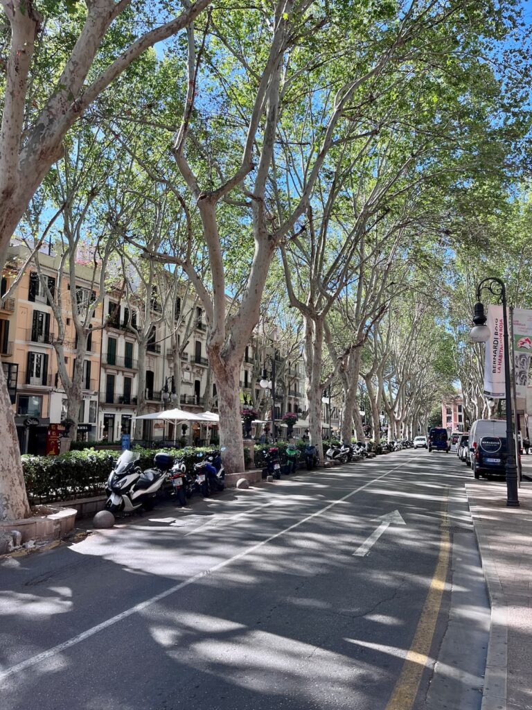 Shopping Street in Palma Majorca
